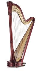 Salvi Diana 47 Pedal Harp