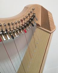 Salvi Mia 34 Maple Bio Carbon Strings L49989