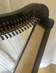 Ravenna 26 Black Finish Full Package - Ex Rental 