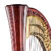 Salvi Daphne 47 EX Pedal Harp