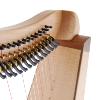 Dusty Strings FH 26 Lever Harp