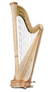 Salvi Minerva 47 Pedal Harp