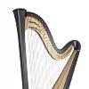 Salvi Arion 44 SG Pedal Harp