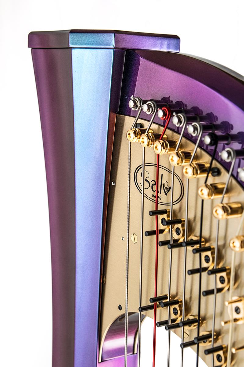 Rainbow 40 Electro Acoustic Pedal Harp