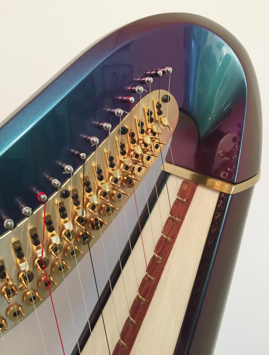 Rainbow 47 CG Electro Acoustic Pedal Harp P 20651