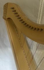 Gaia 38 Natural Maple Polish - Ex Rental