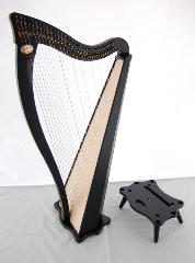 Dusty Strings Ravenna 34 Harp Rental - Initial Payment