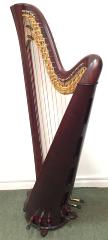 Salvi Daphne 40 Pedal Harp: Walnut - in Stock
