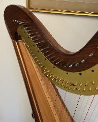 Aoyama Vega Pedal Harp in Walnut - Rental Initial Payment