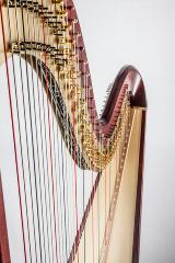 Salvi Daphne 47 S Pedal Harp