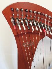 Salvi Mia 34 Cherry Bio Carbon Strings (L47632)