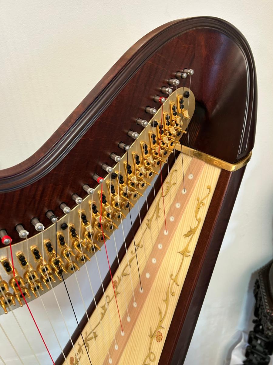 Salvi Diana 47 Pedal Harp P23057 Mahogany in Stock