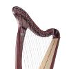 Salvi Donegal 34 Lever Harp