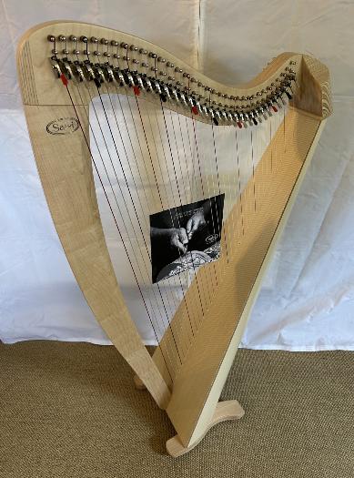 Salvi M2 34 String Maple Bio Carbon Strings - Full Package