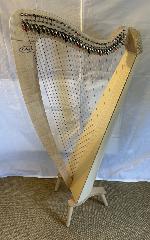 Salvi M2 34 String Maple Bio Carbon Strings - Full Package