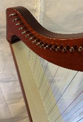 Salvi M2 34 String Mahogany Bio Carbon Strings - Full Package