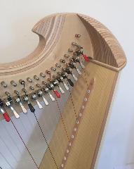 Salvi Una 38 Harp Rental - Initial Payment