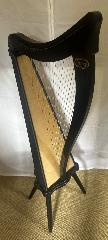 Ravenna 26 Black Finish Full Package - Ex Rental 