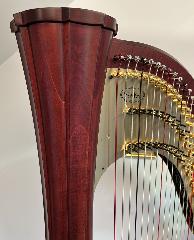 Aurora 47 Pedal Harp - Mahogany Polish Decorated - P23914 In Stock