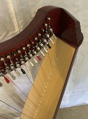 Salvi Juno 27 Lever Harp Mahogany L49465 - Ex Rental 2024