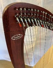 Salvi M2 34 String Mahogany Bio Carbon Strings - Full Package