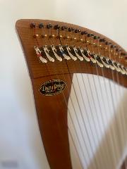 Dusty Strings FH 34 S Lever Harp: Cherry with Camac levers