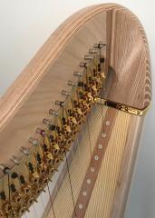 Salvi Daphne 47 EX Pedal Harp: Maple - in Stock
