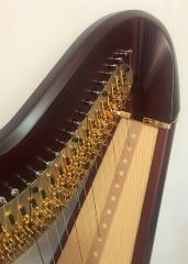 Salvi Daphne 47 EX Pedal Harp: Mahogany - in Stock -  P22474