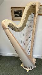 Daphne 47 EX Maple Pedal Harp - P23876 - In Stock