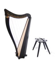 Dusty Strings Ravenna 26 Harp Rental - Initial Payment