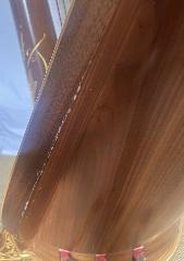 Second Hand Delphi 47 Pedal Harp Walnut Gilded - 2007