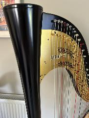 Etude 42 Pedal Harp - 2012 - 2nd Hand