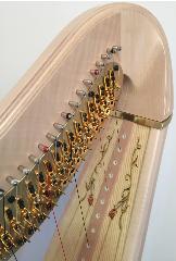 Salvi Diana 47 Pedal Harp