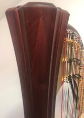 Salvi Daphne 47 EX Pedal Harp: Walnut - in Stock