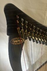Ravenna 26 Black Finish Full Package - Ex Rental 