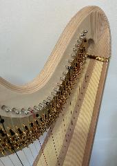 Daphne 47 EX Maple Pedal Harp - P23876 - In Stock