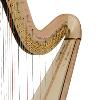 Salvi Minerva 47 Pedal Harp