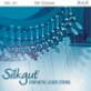 SILKGUT LEVER SET FOR SALVI UNA - 30 STRINGS 1ST A - 5TH D