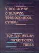 Top Ten Welsh Traditional Tunes / Y Deg Uchaf O Alawon Traddodiadol Cymru - Meinir Heulyn