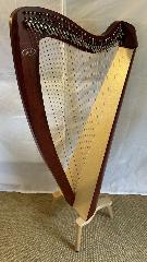 Salvi M2 34 String Mahogany Bio Carbon Strings - Full Package