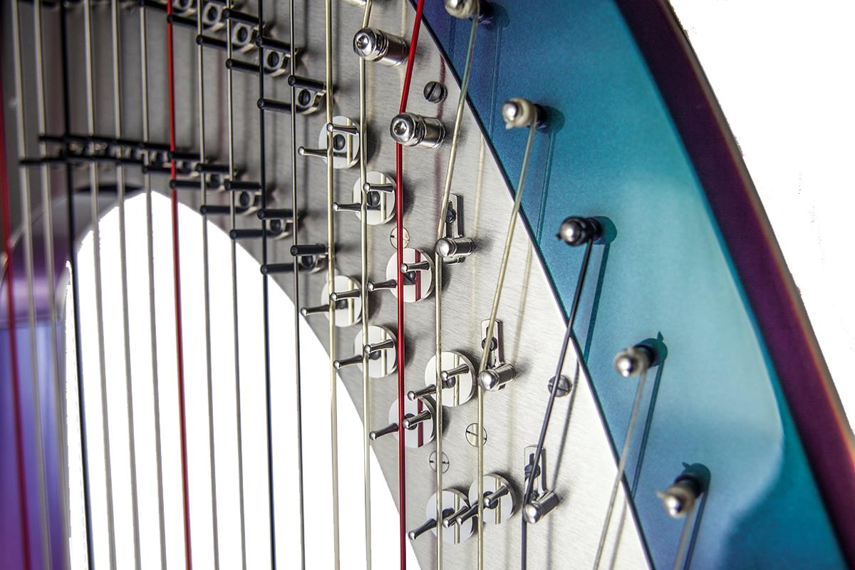 Rainbow 47 CG Electro Acoustic Pedal Harp