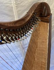 Dusty Strings FH 34 S Lever Harp: Walnut with Camac levers 