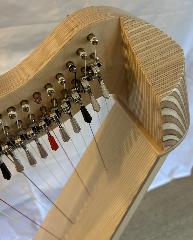 Salvi M2 34 String Maple Bio Carbon Strings - Full Package