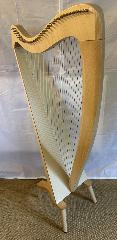 Salvi M2 34 String Maple Bio Carbon Strings - Full Package