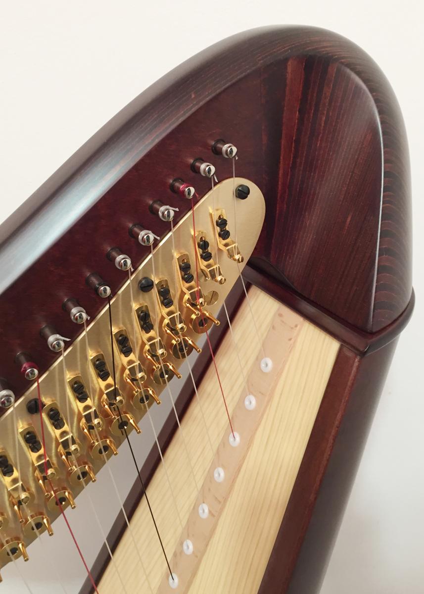 Salvi Daphne 40 Pedal Harp Walnut in Stock