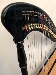 Elysian Hempson 34 Lever Harp - Ex Demo 2023