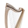 Salvi Una 38 Lever Harp