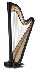 Salvi Daphne 47 EX Pedal Harp