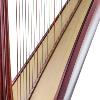 Salvi Daphne 47 EX Pedal Harp