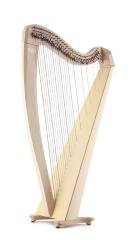 Salvi M2 Harp